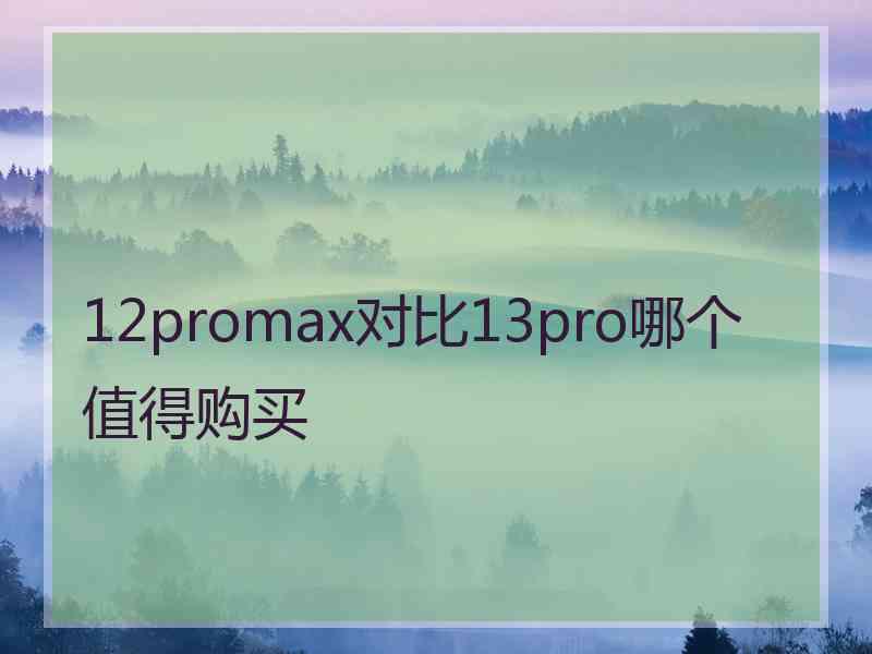 12promax对比13pro哪个值得购买