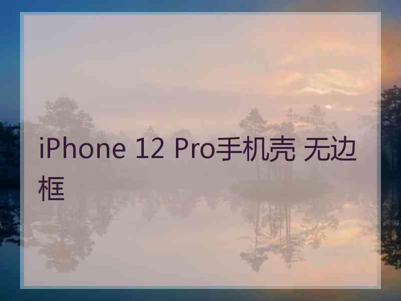 iPhone 12 Pro手机壳 无边框