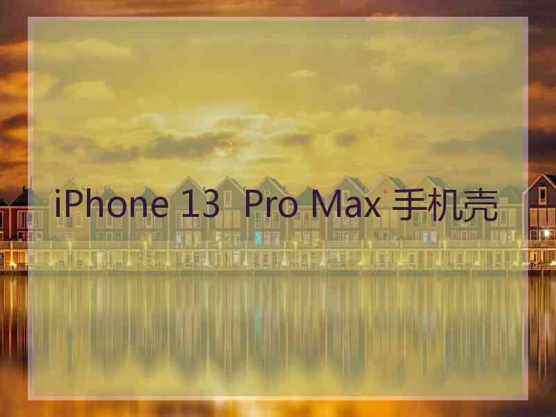 iPhone 13  Pro Max 手机壳