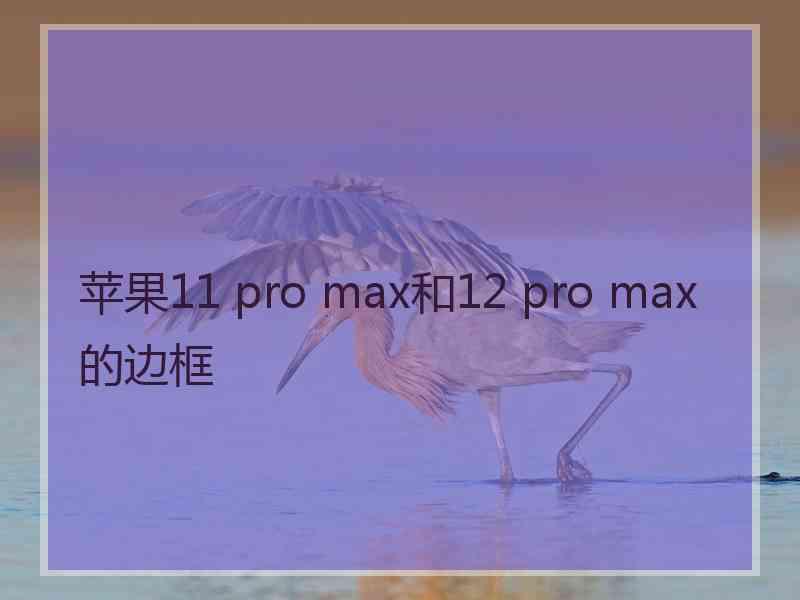 苹果11 pro max和12 pro max的边框