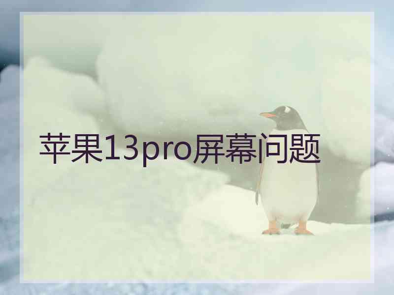 苹果13pro屏幕问题