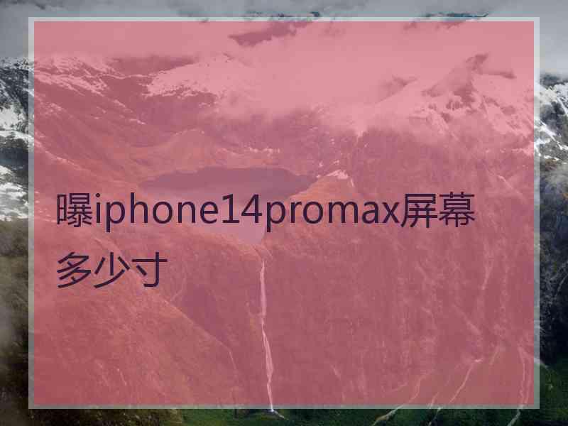 曝iphone14promax屏幕多少寸