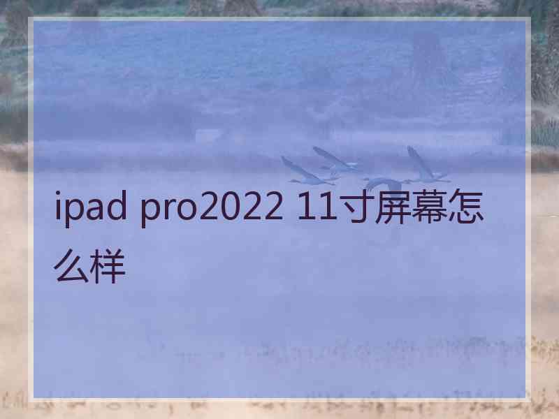 ipad pro2022 11寸屏幕怎么样