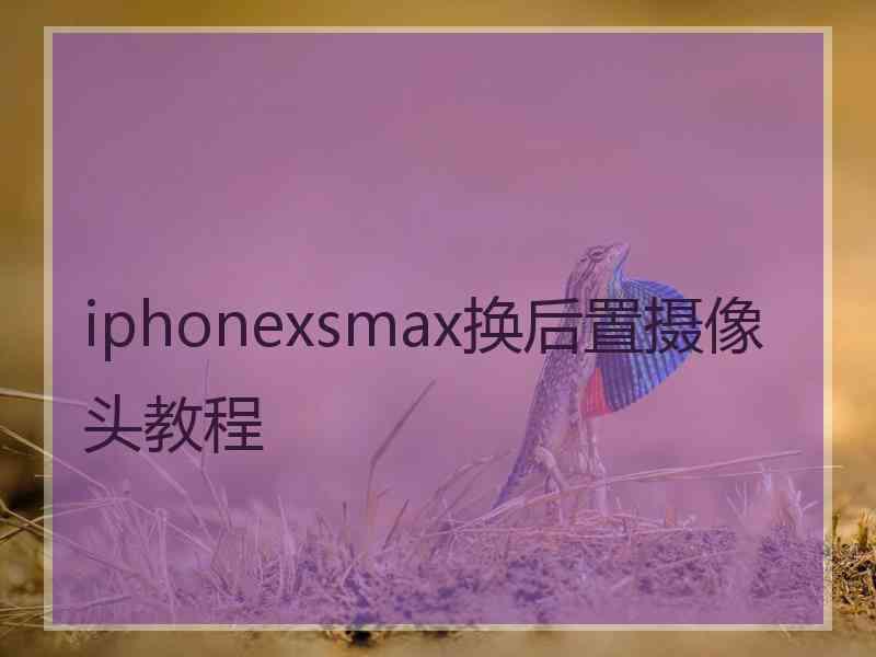 iphonexsmax换后置摄像头教程