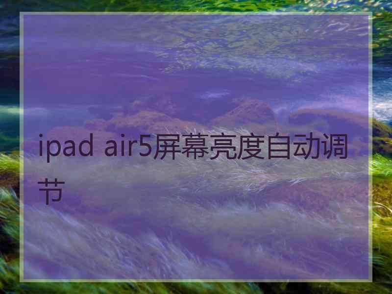 ipad air5屏幕亮度自动调节