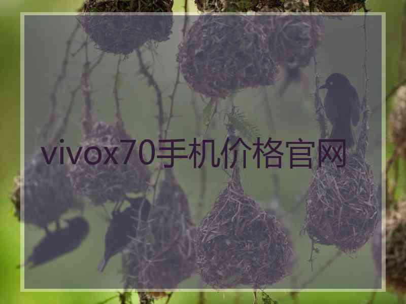 vivox70手机价格官网