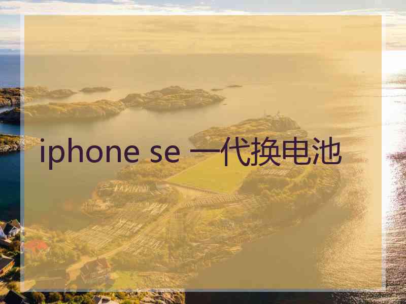 iphone se 一代换电池