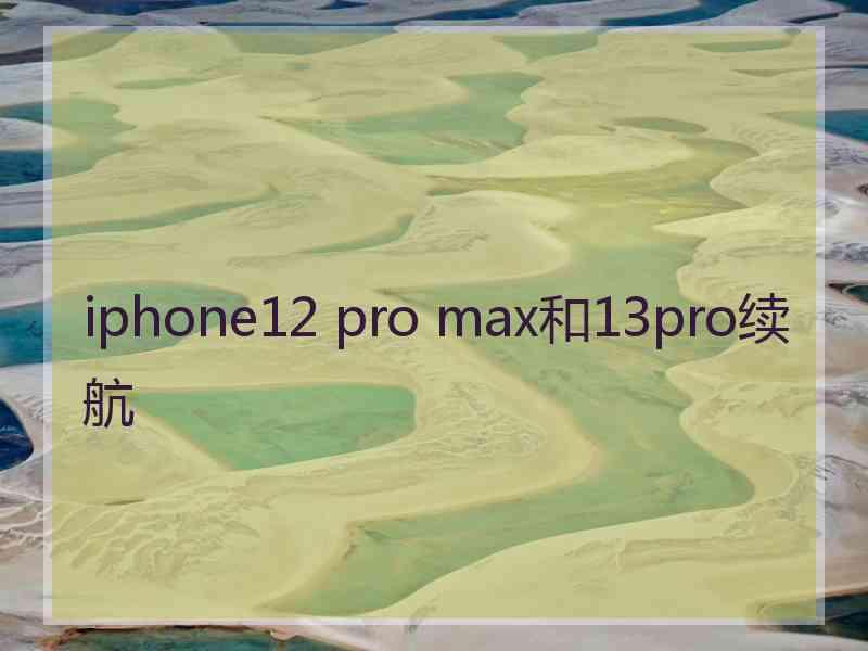 iphone12 pro max和13pro续航