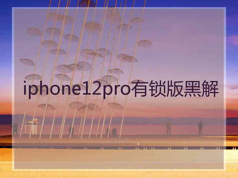 iphone12pro有锁版黑解