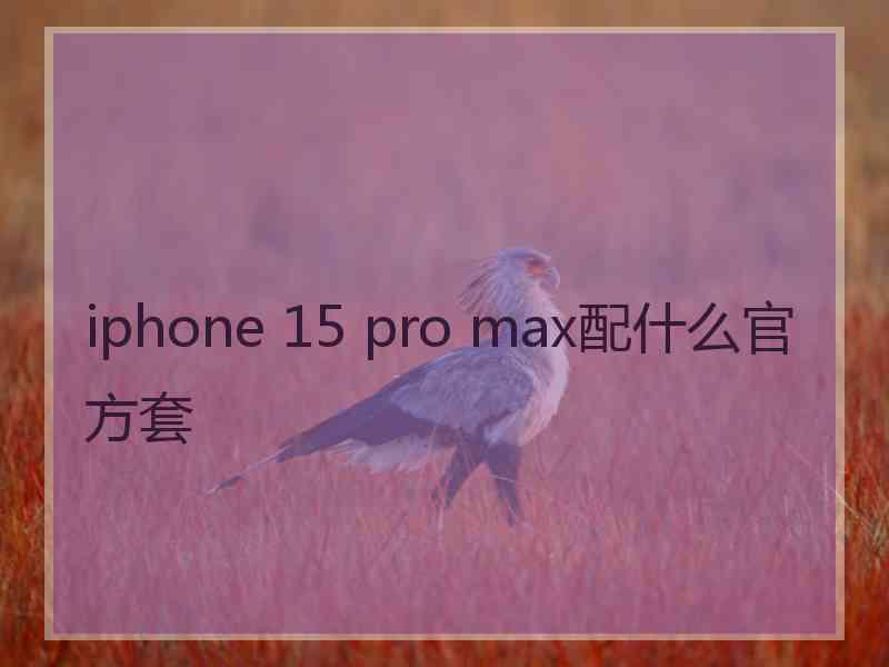 iphone 15 pro max配什么官方套