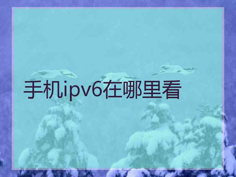 手机ipv6在哪里看