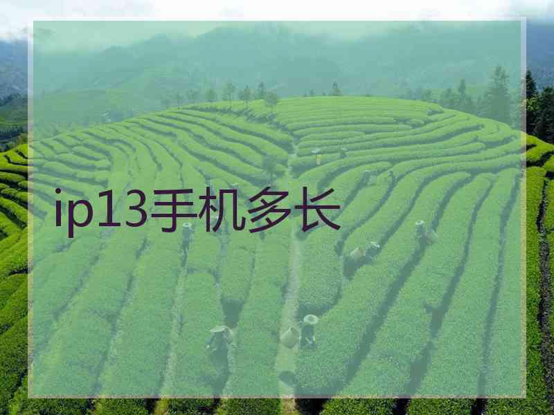 ip13手机多长