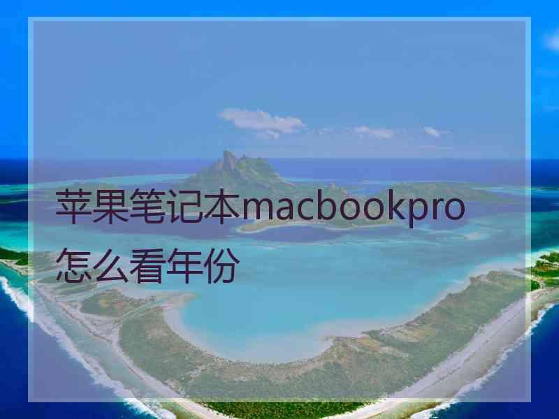 苹果笔记本macbookpro怎么看年份