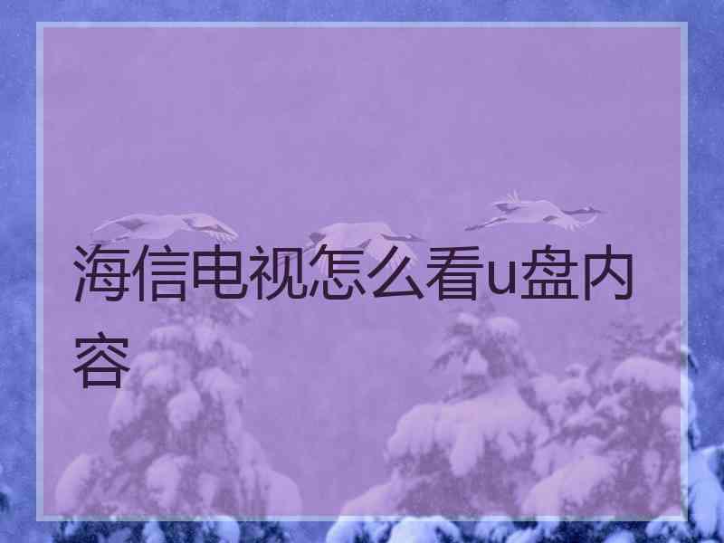 海信电视怎么看u盘内容