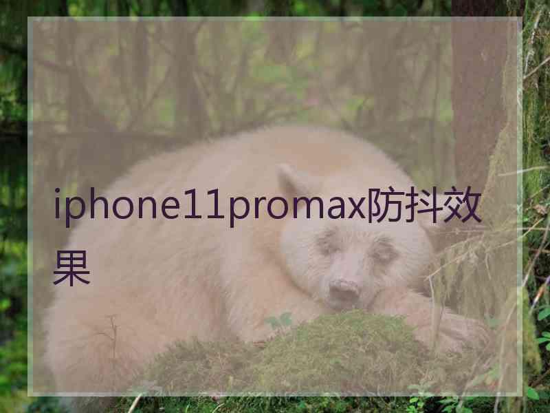 iphone11promax防抖效果