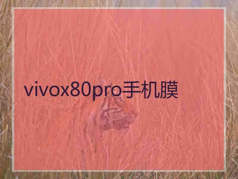 vivox80pro手机膜