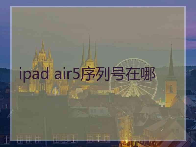 ipad air5序列号在哪