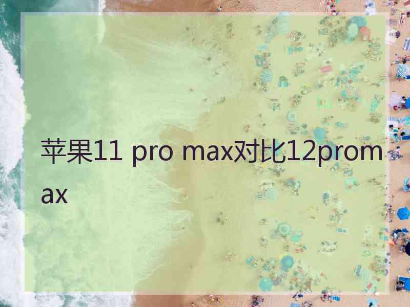 苹果11 pro max对比12promax