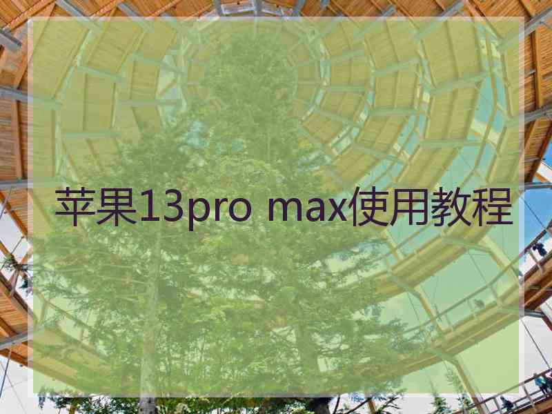 苹果13pro max使用教程