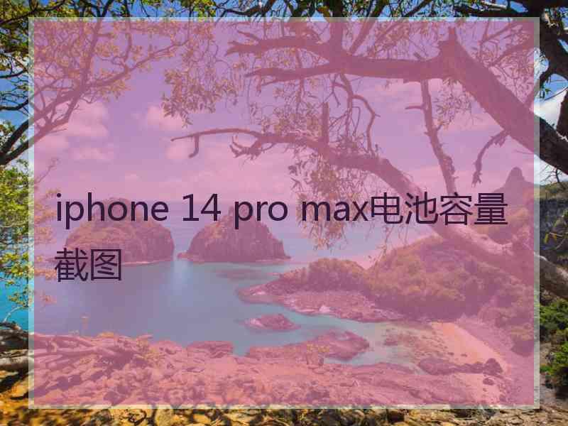 iphone 14 pro max电池容量截图