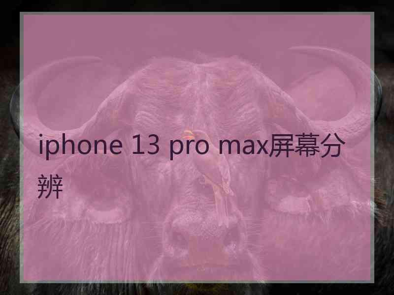 iphone 13 pro max屏幕分辨