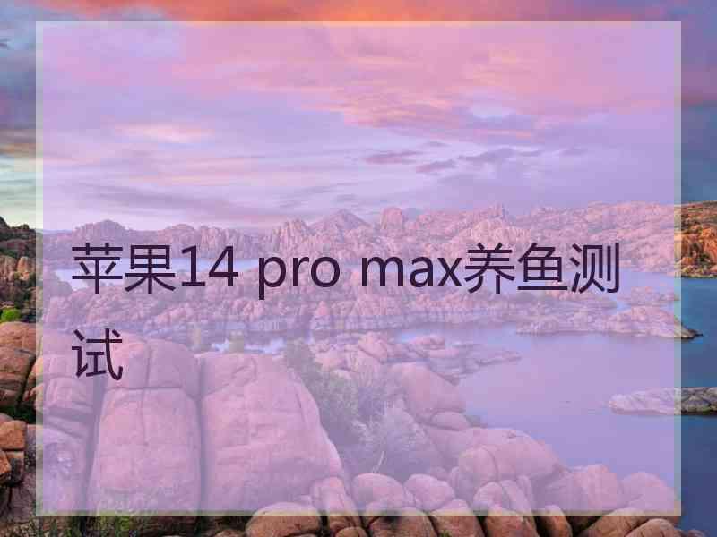 苹果14 pro max养鱼测试