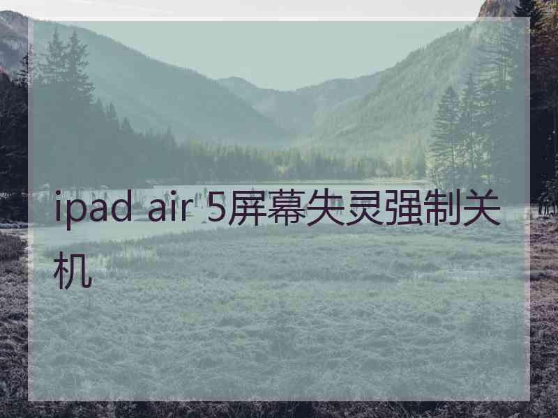 ipad air 5屏幕失灵强制关机