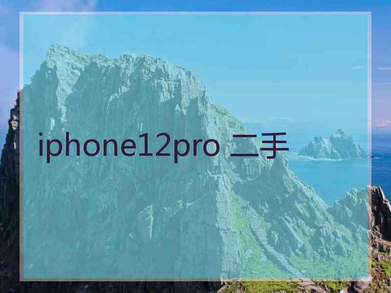 iphone12pro 二手