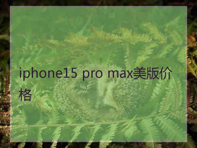 iphone15 pro max美版价格