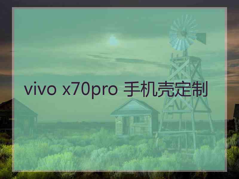 vivo x70pro 手机壳定制