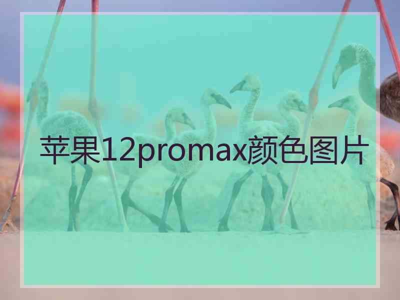 苹果12promax颜色图片