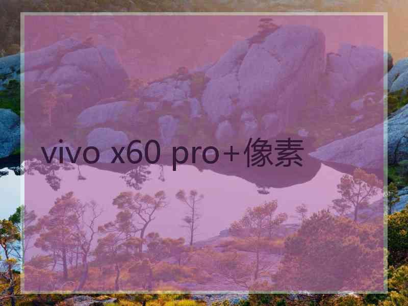 vivo x60 pro+像素