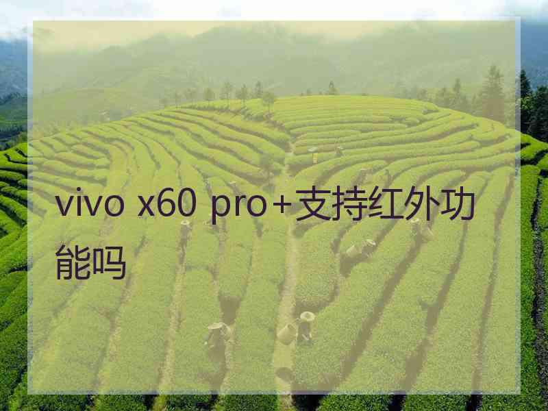 vivo x60 pro+支持红外功能吗