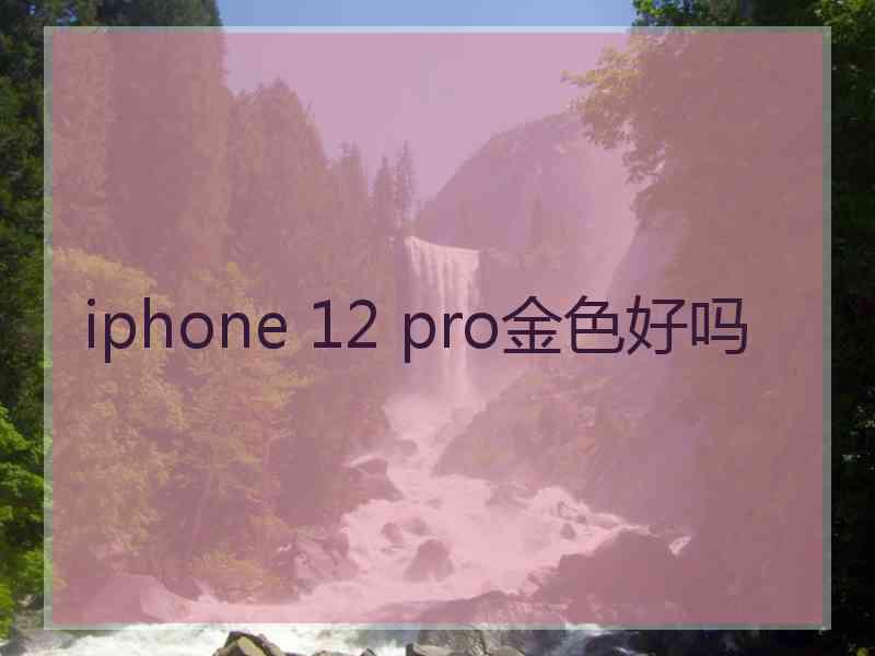 iphone 12 pro金色好吗