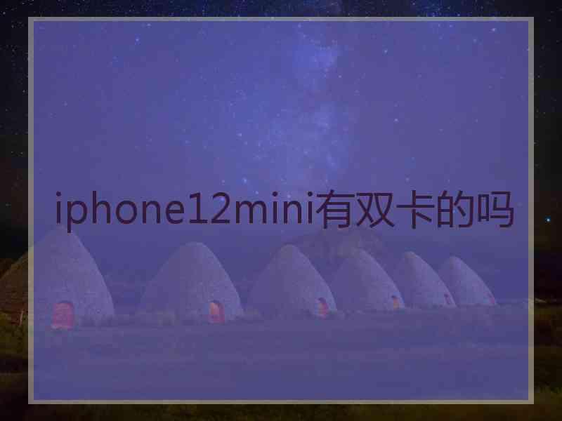 iphone12mini有双卡的吗