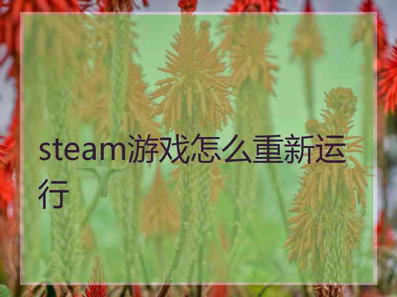 steam游戏怎么重新运行