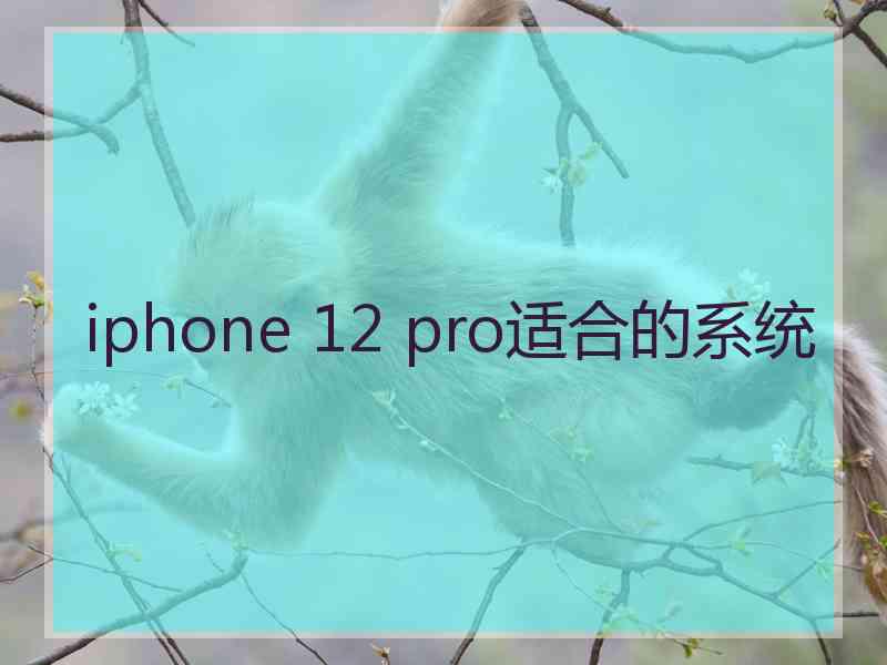 iphone 12 pro适合的系统