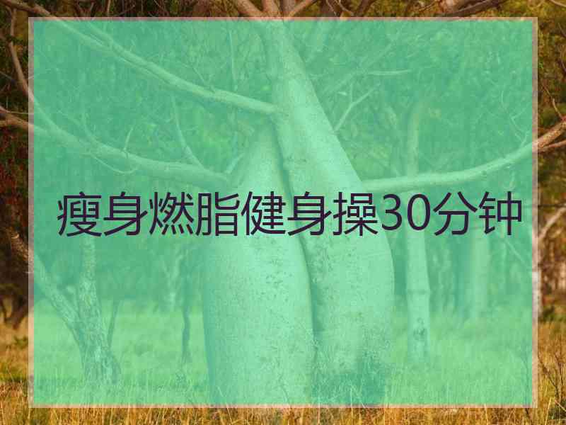 瘦身燃脂健身操30分钟