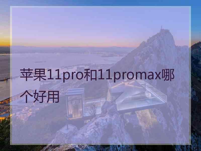 苹果11pro和11promax哪个好用