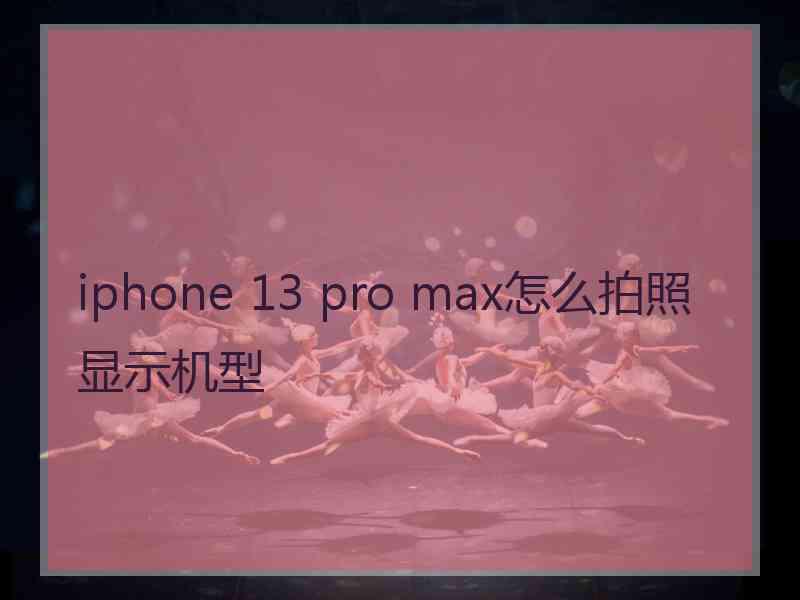 iphone 13 pro max怎么拍照显示机型