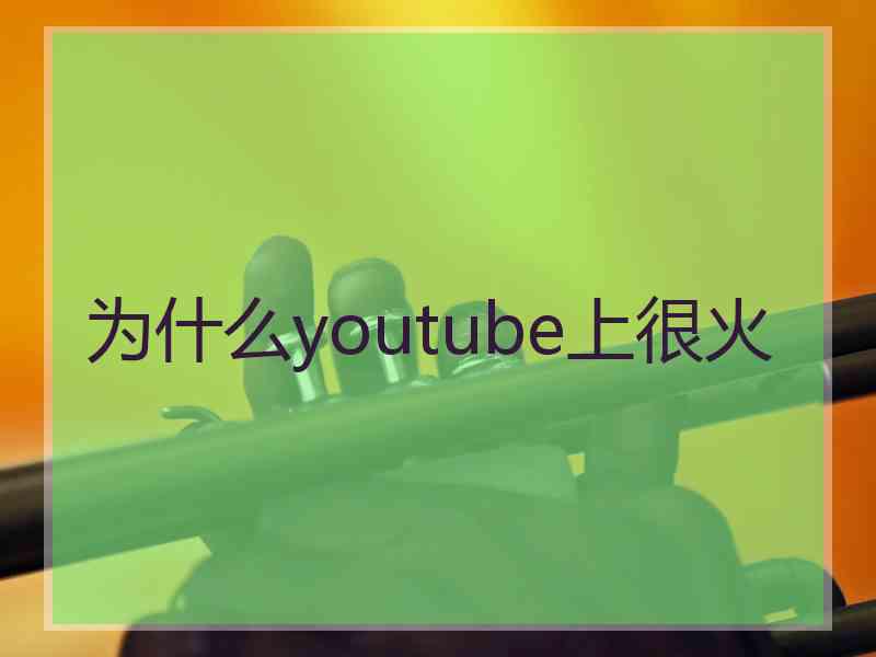 为什么youtube上很火