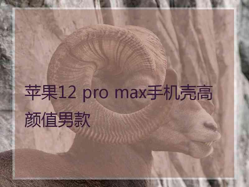 苹果12 pro max手机壳高颜值男款