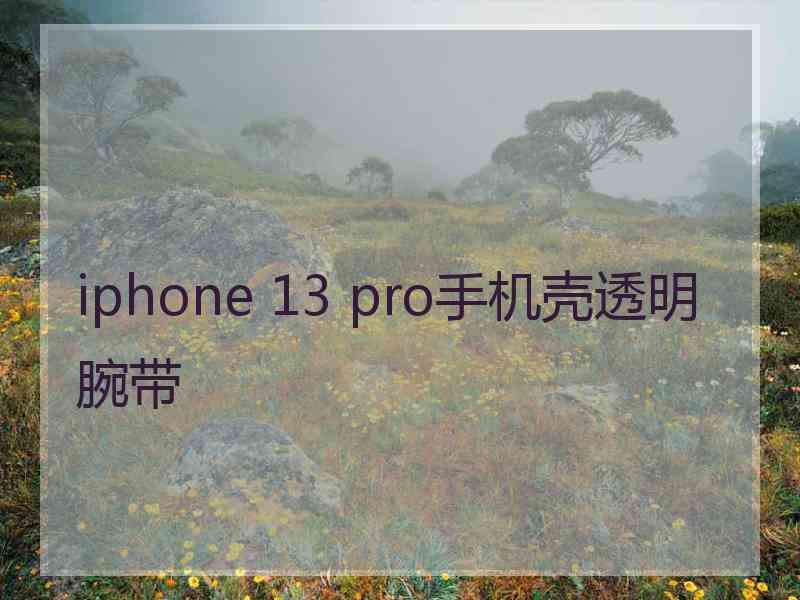 iphone 13 pro手机壳透明腕带