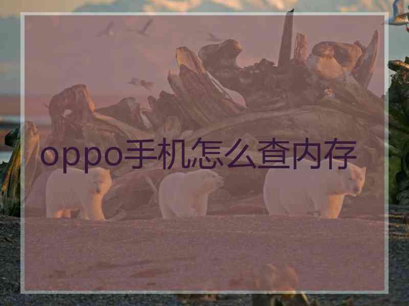 oppo手机怎么查内存