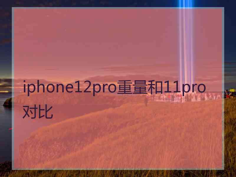 iphone12pro重量和11pro对比