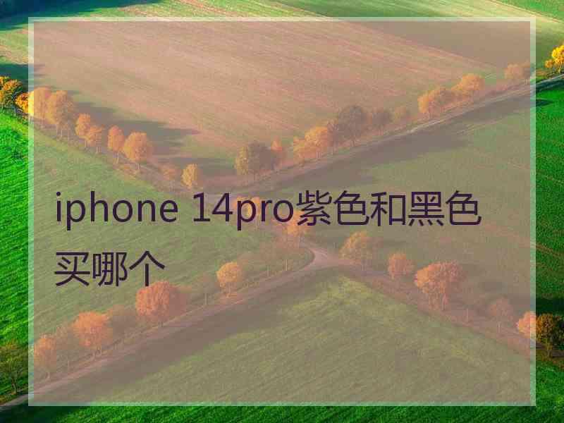 iphone 14pro紫色和黑色买哪个