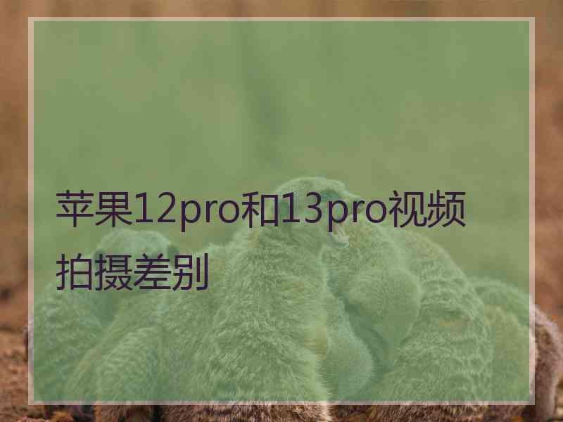 苹果12pro和13pro视频拍摄差别