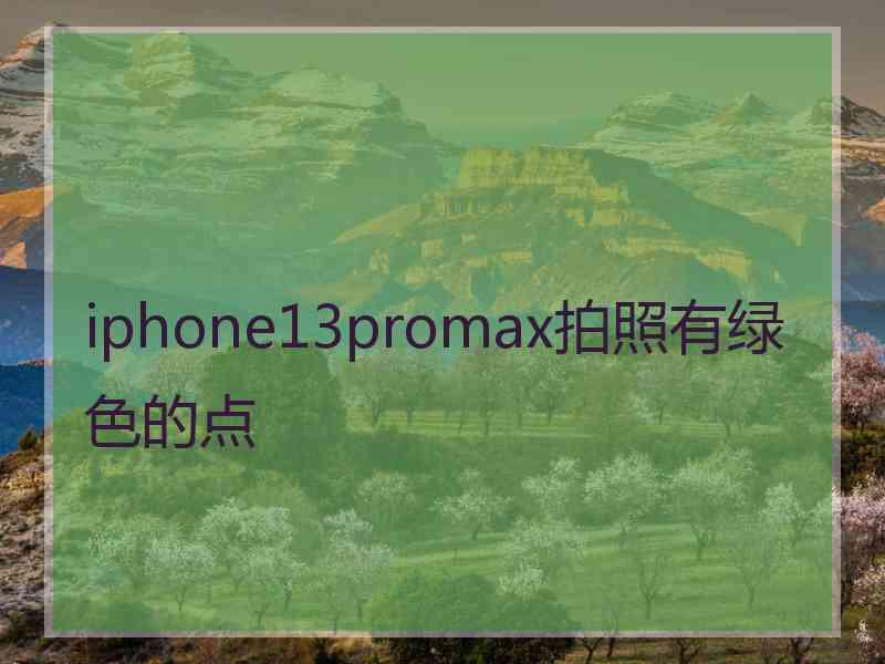 iphone13promax拍照有绿色的点