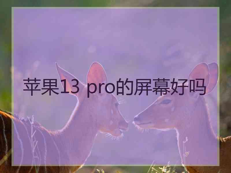 苹果13 pro的屏幕好吗