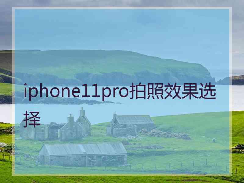 iphone11pro拍照效果选择